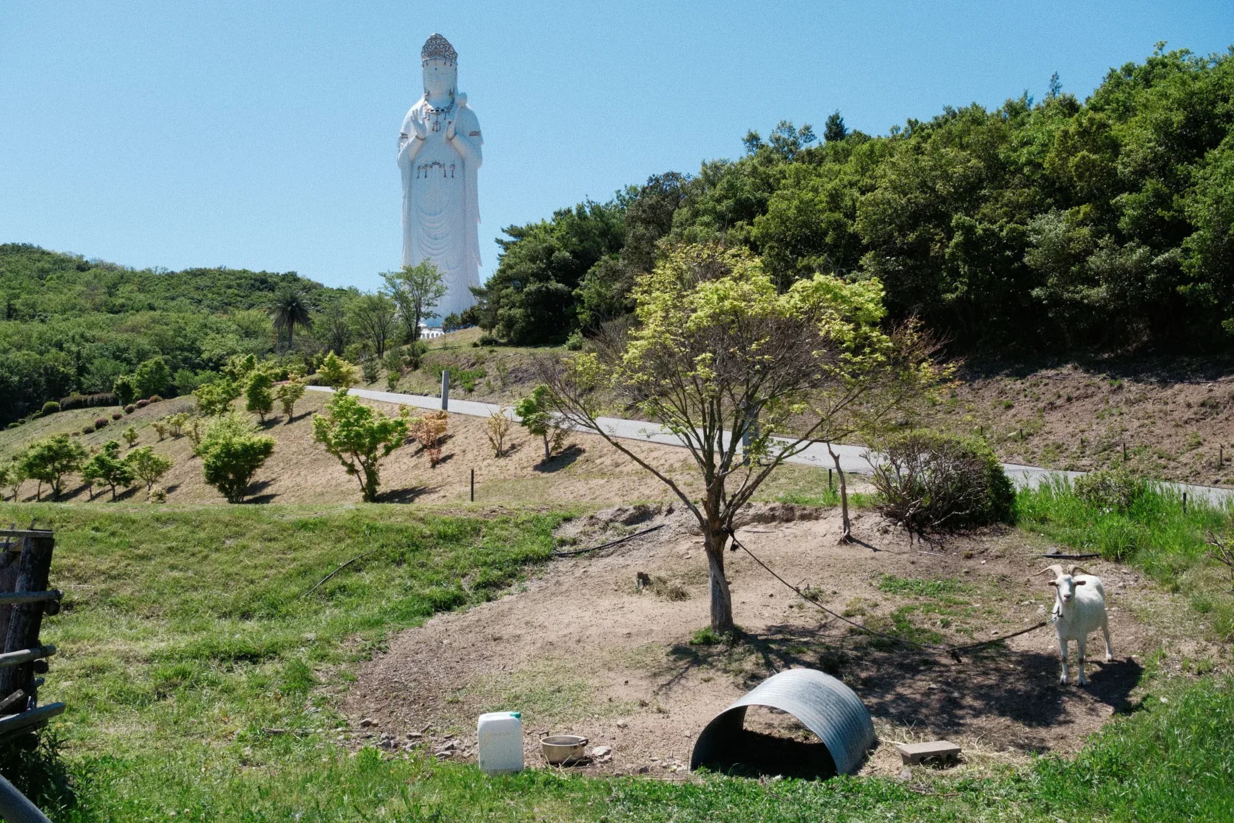 瀬戸内海 2026